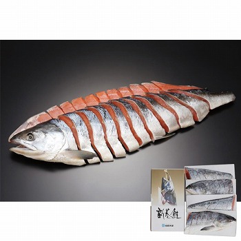 Y V(pؐgl^) (MS-1CE)